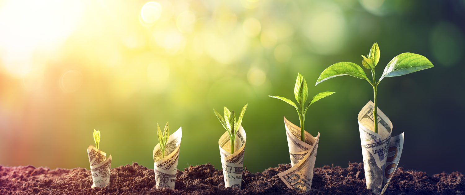 IT solutions for business growth