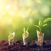 IT solutions for business growth