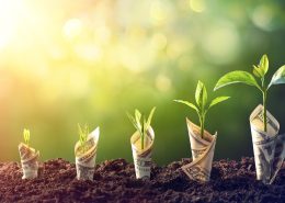 IT solutions for business growth
