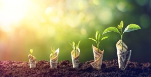IT solutions for business growth