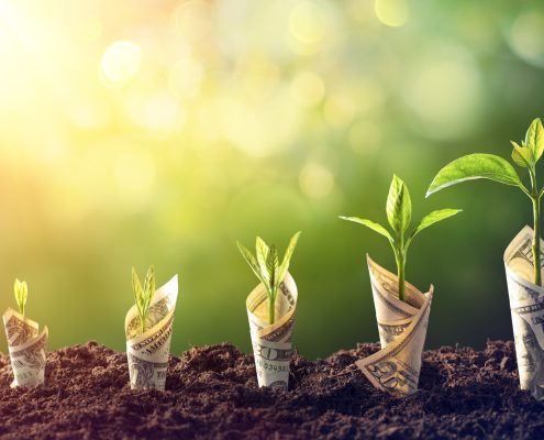 IT solutions for business growth