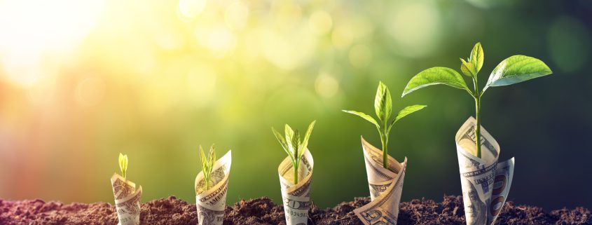 IT solutions for business growth